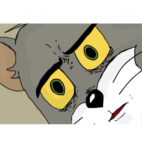 мемы с котами