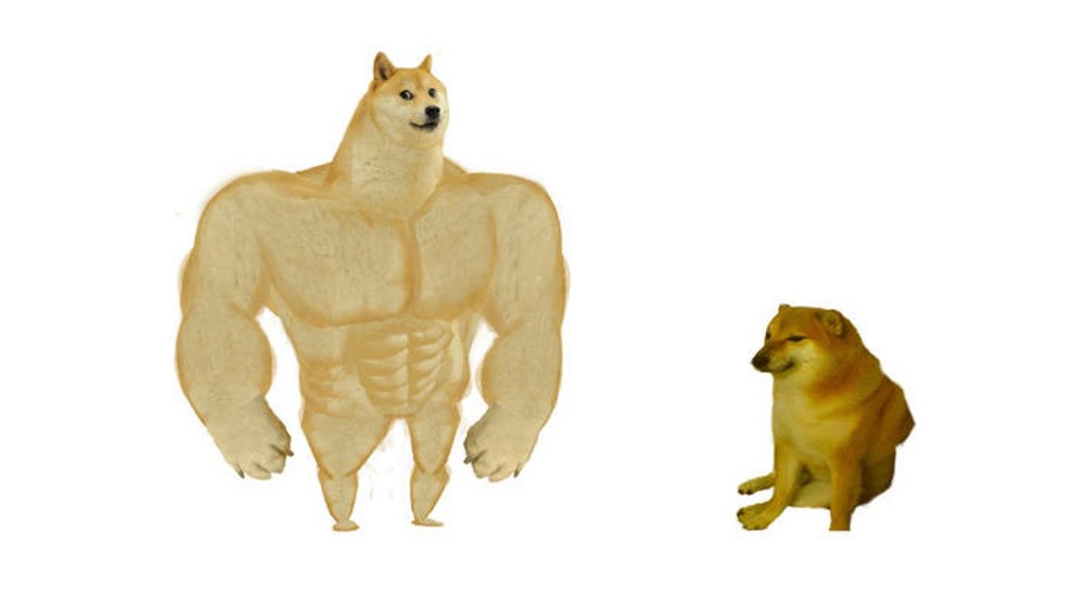 собака качок
