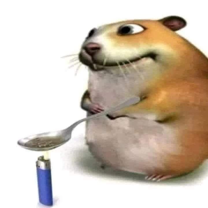 хомяк макс