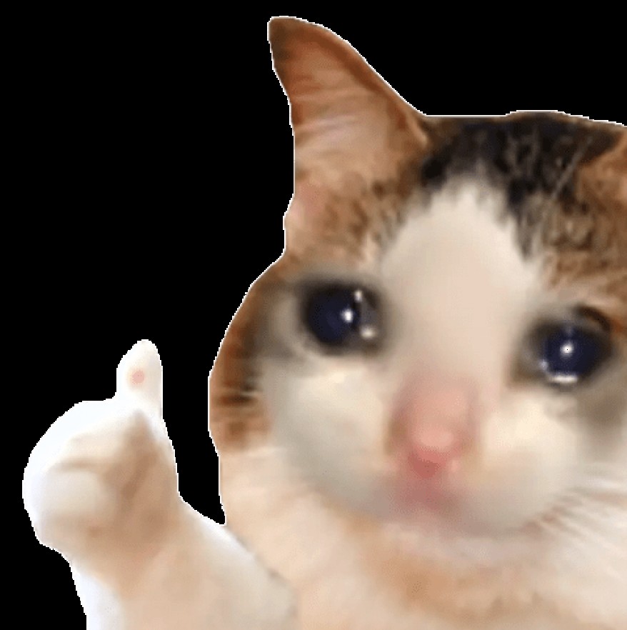 котик