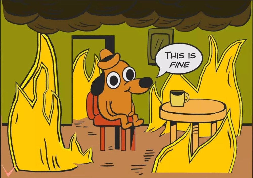this is fine dog