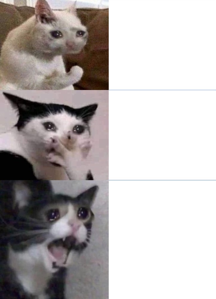 мем кот орет