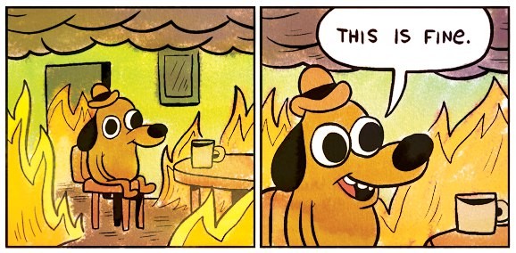 this is fine dog