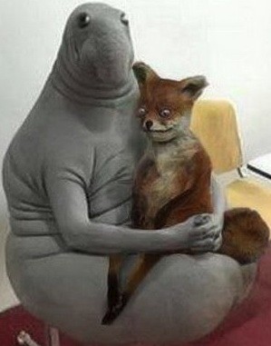 лиса ждун