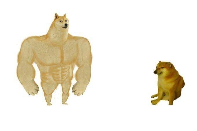 doge meme