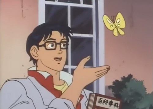 Это бабочка