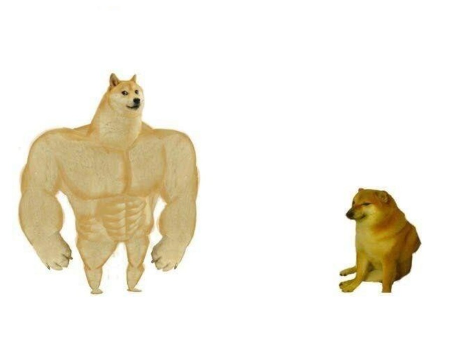 качок doge и чимс