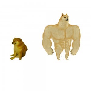 качок доге и чимс