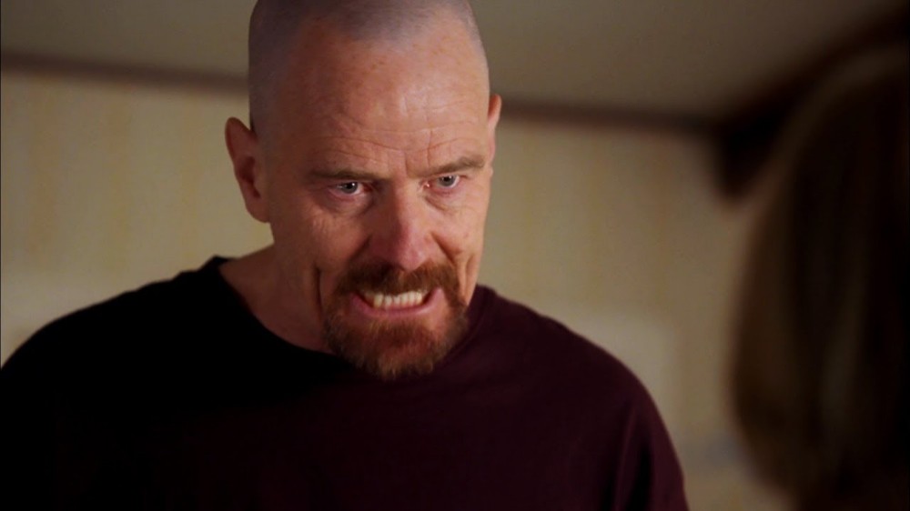 walter white i am the danger