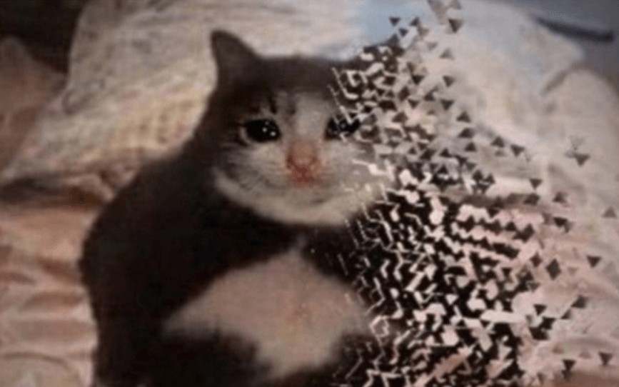 кот